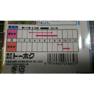 3袋以上でクーポン割引 ロケット ルッコーラ ...の詳細画像2