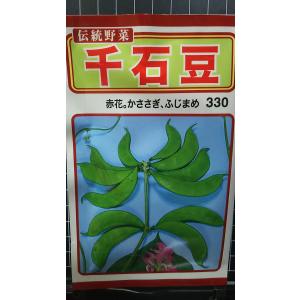 ３袋以上でクーポン割引 千石豆 せんごくまめ かささぎ ふじまめ 種 郵便は送料無料