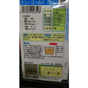 3袋以上でクーポン割引 マリーゴールド フレン...の詳細画像1
