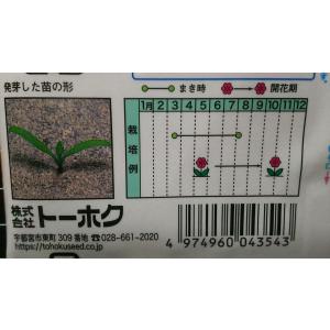 3袋以上でクーポン割引 マリーゴールド フレン...の詳細画像2