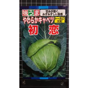 ３袋以上でクーポン割引 やわらか キャベツ 初恋 種 種子 トーホク 郵便は送料無料