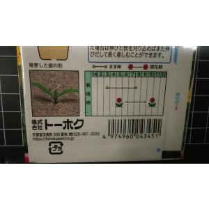 3袋以上でクーポン割引 マリーゴールド 高貴 ...の詳細画像2