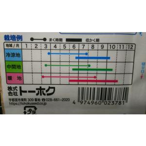 3袋以上でクーポン割引 万能 小ねぎ スリム ...の詳細画像2