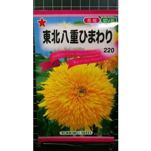 ３袋以上でクーポン割引 東北 八重 ひまわり 向日葵 種 郵便は送料無料
