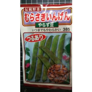 ３袋以上でクーポン割引 むらさき インゲン やらず豆 種 郵便は送料無料
