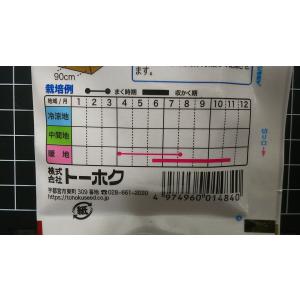 3袋以上でクーポン割引 むらさき インゲン や...の詳細画像2