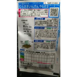 3袋以上でクーポン割引 むらさき インゲン や...の詳細画像1