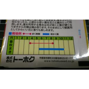 3袋以上でクーポン割引 ブッシュ バジル 種 ...の詳細画像2
