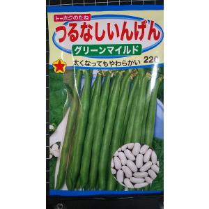 ３袋以上でクーポン割引 つるなし いんげん グリーンマイルド インゲン 種 郵便は送料無料