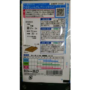 3袋以上でクーポン割引 つるなし いんげん グ...の詳細画像1