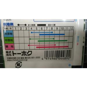 3袋以上でクーポン割引 つるなし いんげん グ...の詳細画像2