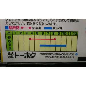 3袋以上でクーポン割引 レモン バジル 種 郵...の詳細画像2