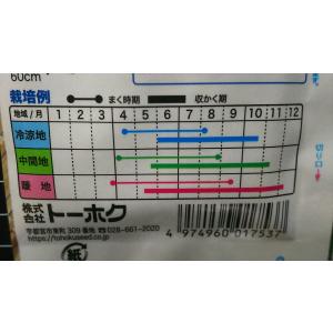3袋以上でクーポン割引 つるなし いんげん テ...の詳細画像2