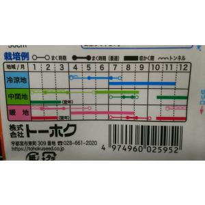 3袋以上でクーポン割引 フルーティ にんじん ...の詳細画像1