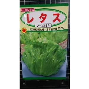 タキイ種苗 レタス ヒートガイ ペレット5000粒 : 種苗・園芸ショップ