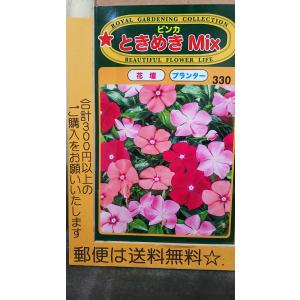 ニチニチソウ 品種の商品一覧 通販 Yahoo ショッピング