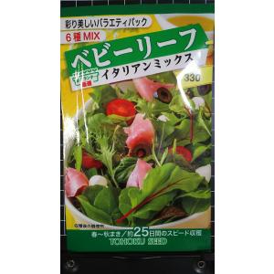 ３袋以上でクーポン割引 ベビーリーフ イタリアン ミックス 種 郵便は送料無料