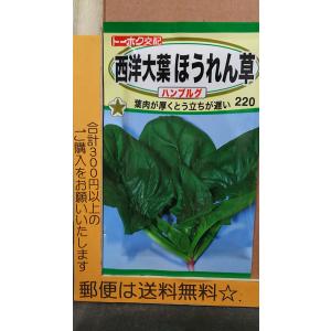 西洋 ほうれん草の商品一覧 通販 Yahoo ショッピング