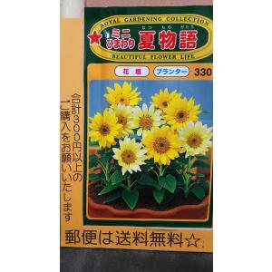 ミニひまわり 種 花の種 の商品一覧 種 種子 花 ガーデニング 通販 Yahoo ショッピング