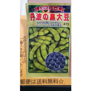 丹波 の 黒大豆 黒豆 種 郵便は