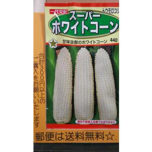 とうもろこし トウモロコシ 種 こく旨トウモロコシ オーガニック 有機種子 固定種 A505 ミドリの種屋 通販 Yahoo ショッピング