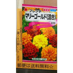 フレンチ マリーゴールド 混合 種 郵便は送料無料