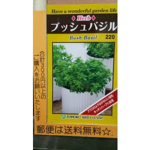 ブッシュ バジル ハーブ 種 郵便は