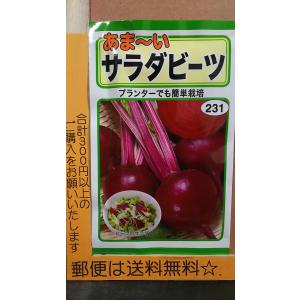 ビーツ 種の商品一覧 通販 Yahoo ショッピング