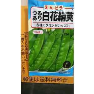 エンドウ 種の商品一覧 通販 Yahoo ショッピング