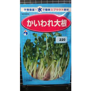 かいわれだいこん様用 楽天市場】かいわれ大根 栽培の通販