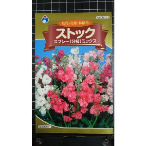 3袋以上でクーポン割引 ストック スプレー 分枝...の商品画像