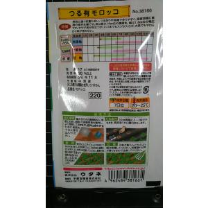 3袋以上でクーポン割引 つるあり モロッコ い...の詳細画像1