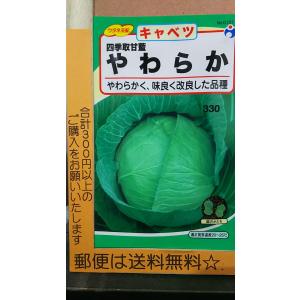 四季取 甘藍 やわらか キャベツ 種 郵便は