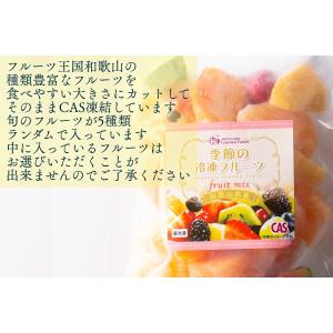 CAS凍結 和歌山県産 季節の カットフルーツ...の詳細画像1