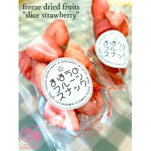 和歌山県産 フリーズドライ フルーツ 乾燥フルーツ いちご 約10g 有田川コスモスフーズ