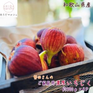 【先行予約】勢田さんの ご家庭用 濃厚 完熟 い...の商品画像