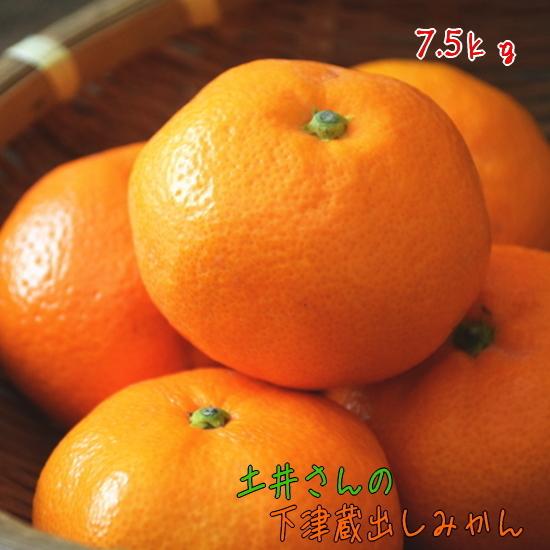 【先行予約  2026年１月中旬以降】農家直送 土井さんのまろやか『しもつ蔵出しみかん』 7.5kg...