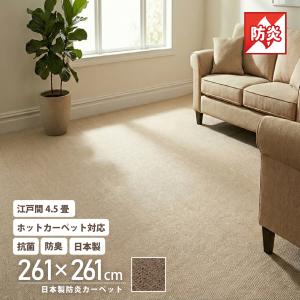ラグ カーペット 230×230 4.5畳 正方形 大判 フランネル ホット