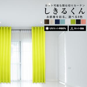 間仕切り アコーディオンカーテン パーテーショ...の詳細画像2