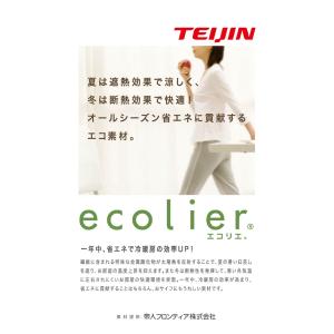 のれん 暖簾 防炎のれん 間仕切り 85×15...の詳細画像2