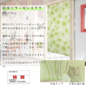 のれん 暖簾 防炎のれん 間仕切り 85×15...の詳細画像4