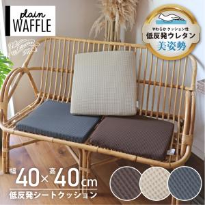 プラチナウェーブ寝具 美(BI) 肌布団 シングルサイズ : 総合通販のロコ