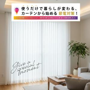 レースカーテン レース 2枚セット 1枚入り ...の詳細画像1