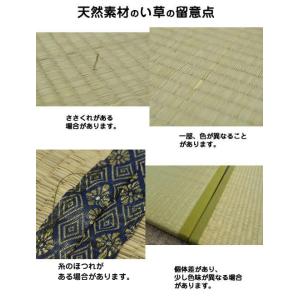 い草 い草ラグ カーペット マット ラグ 畳 ...の詳細画像4