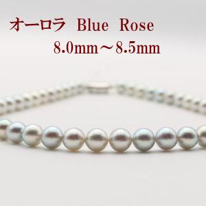 Red string パール ネックレス アコヤ 本真珠 グレーパール