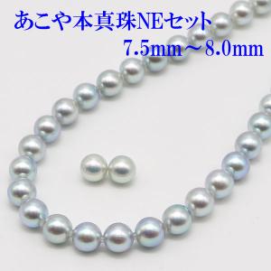 アコヤ真珠パールネックレス 6.5-7.0mm ブルーカラー : 真珠倶楽部