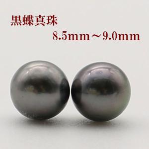 特級 9mm 黒蝶真珠 ピアス/イヤリング 美しいプロポーションとてりを