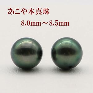 ピアス ブラックパール タヒチ黒蝶真珠10mmスタッドピアス ホワイト