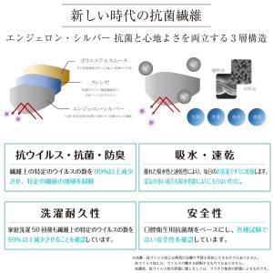 爆買 3層立体 リバーシブル マスク アニマル...の詳細画像5