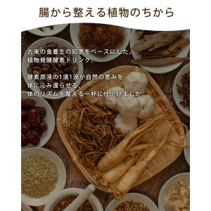 酵素ドリンク 凛の葉 720ml 無添加 植物...の詳細画像3